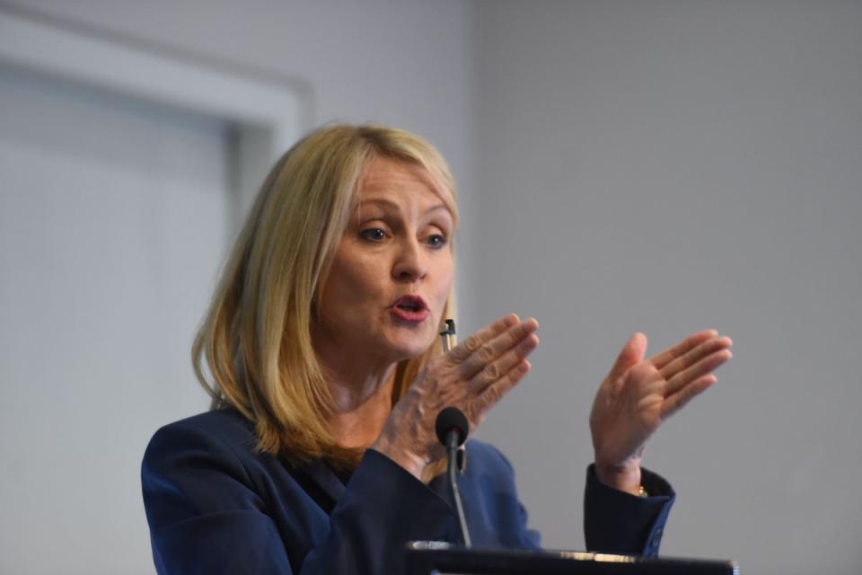 Esther McVey has proposed a ban on rainbow lanyards in the civil service (PA Archive)