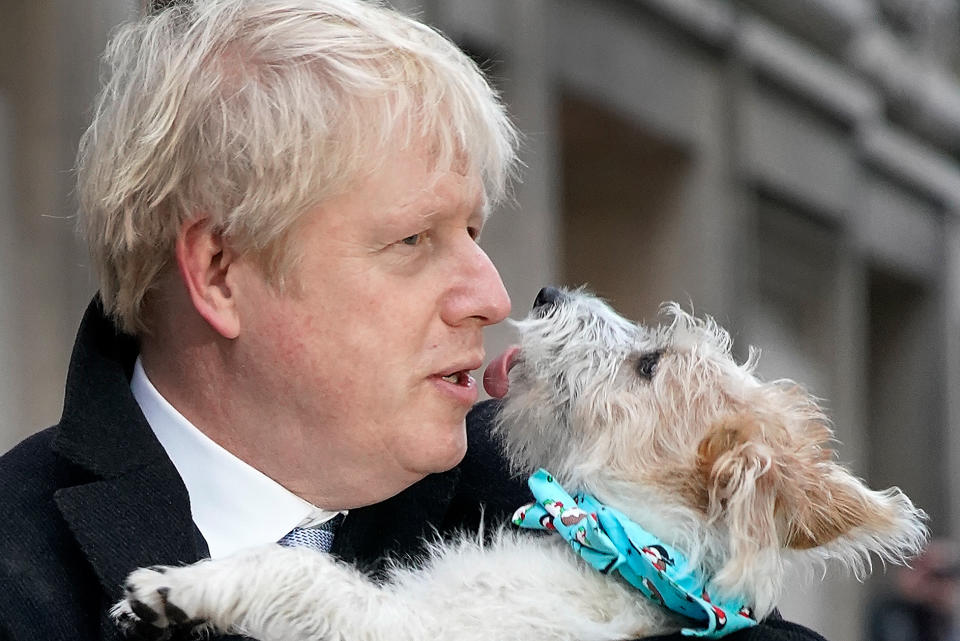 LONDON, UNITED KINGDOM - DECEMBER 12: Prime Minister Boris Johnson arrives to cast his vote with dog Dilyn at Methodist Hall polling station on December 12, 2019 in London, England. The current Conservative Prime Minister Boris Johnson called the first UK winter election for nearly a century in an attempt to gain a working majority to break the parliamentary deadlock over Brexit. The election results from across the country are being counted overnight and an overall result is expected in the early hours of Friday morning.  (Photo by Christopher Furlong/Getty Images)