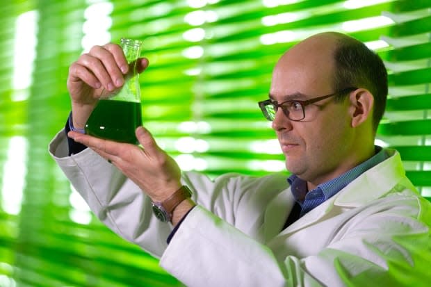 Stephen O'Leary is a scientist with the National Research Council of Canada who studies marine plants like algae, seaweed and micro-organisms.