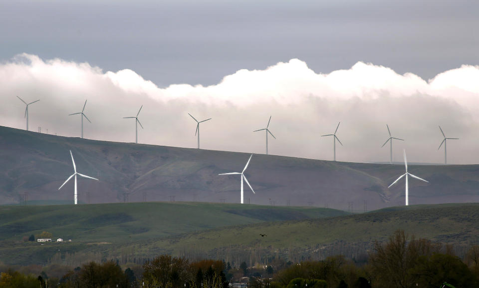 FILE - Wind turbines are seen on April 16, 2019, south of Kennewick, Wash. Washington Gov. Jay Inslee on Thursday, May 23, 2024, rejected a recommendation to cut a proposal for what would be the state's largest wind farm in half, giving new life to the $1.7 billion project. (Bob Brawdy/The Tri-City Herald via AP, File)