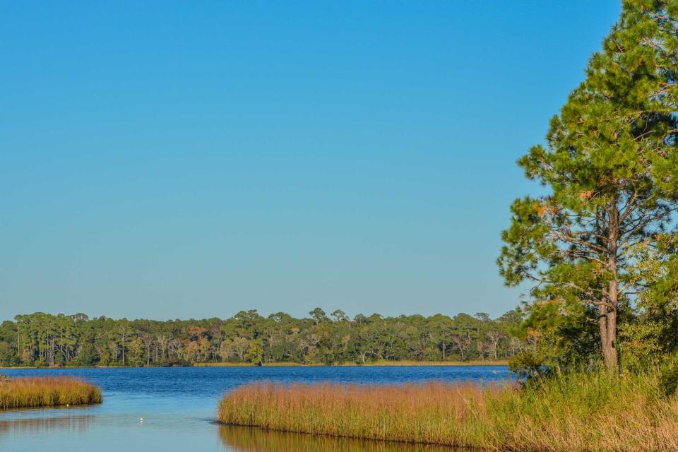 Basin Bayou in Freeport, Walton County, Florida