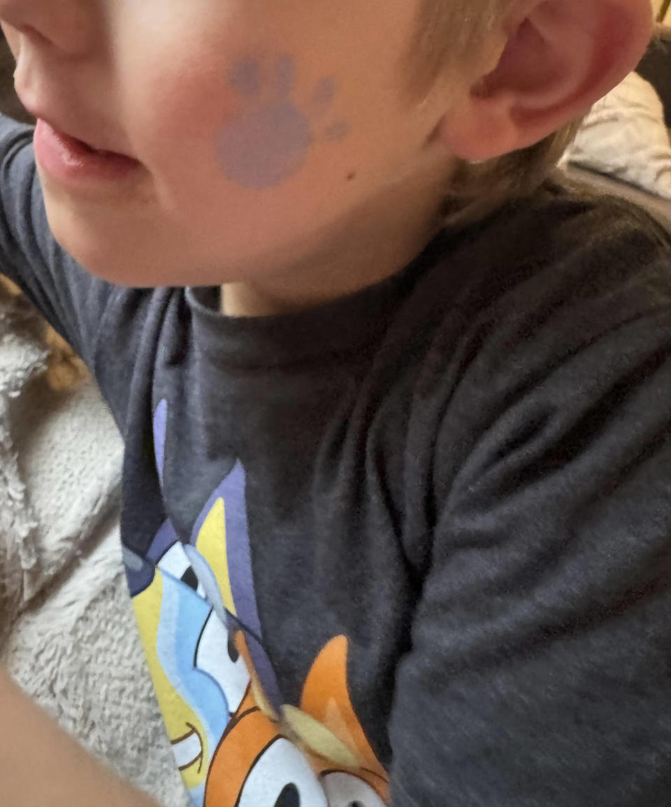 kid with a paw painted on his face (Courtesy Maria Hardly)