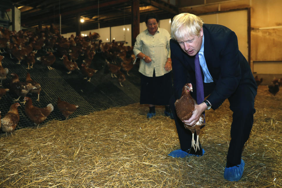 Britain's Prime Minister Boris Johnson, right, accompanied by local farmers Ingrid Shervington, holds a chicken during his visit to rally support for his farming plans post-Brexit, at Shervington Farm, in St Brides Wentlooge near Newport, south Wales, Tuesday, July 30, 2019. (Adrian Dennis/Pool Photo via AP)