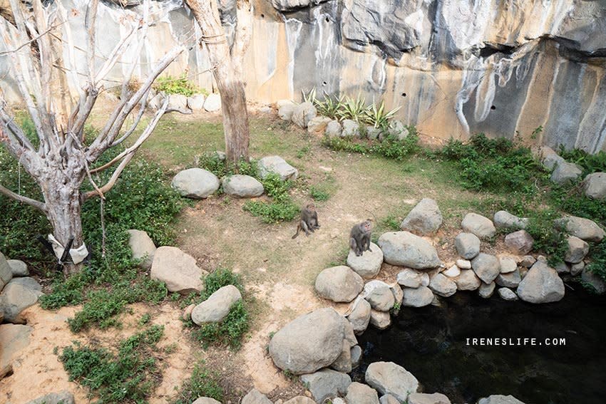 新竹市立動物園