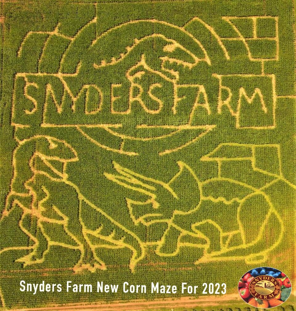 With a dinosaur design, the 2023 Snyder's Farm corn maze commemorates the 30th anniversary of “Jurassic Park.”