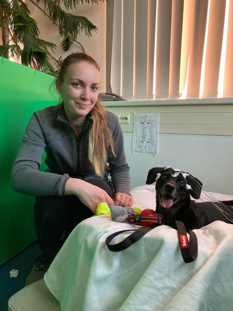 Participants in a study titled "Neural evidence for referential understanding of object words in dogs."