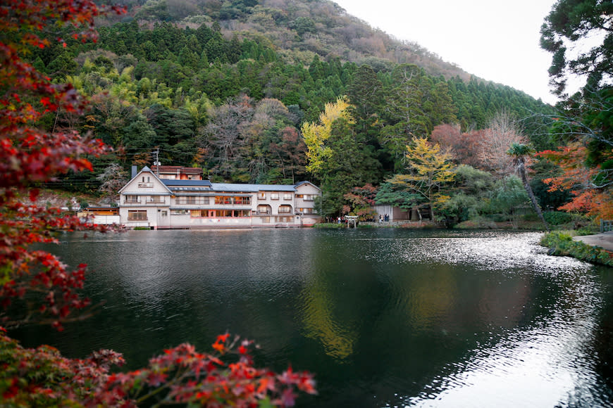 日本大分｜金鱗湖