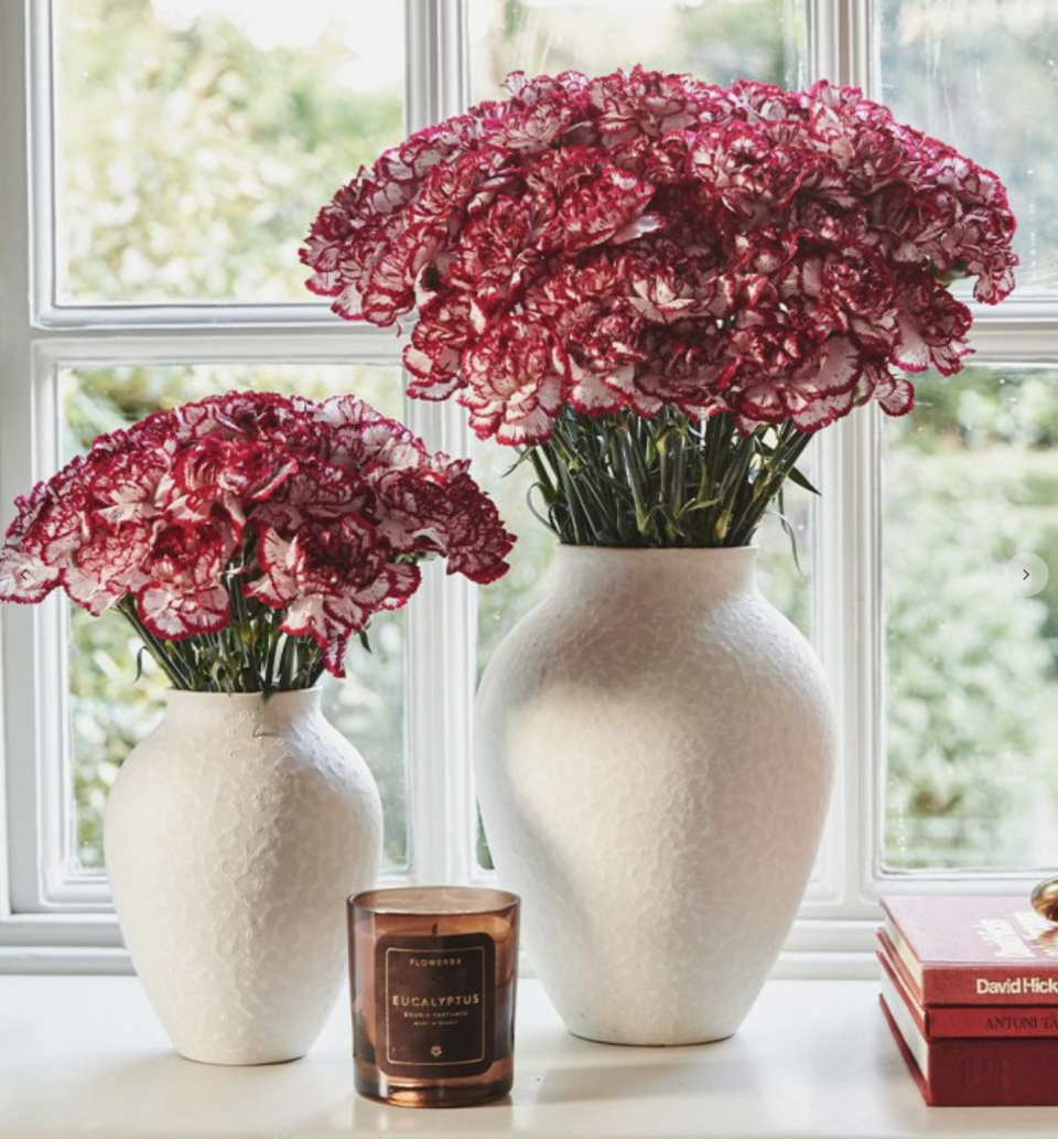 <p><a href="https://go.redirectingat.com?id=74968X1596630&url=https%3A%2F%2Fwww.flowerbx.com%2Fus%2Fcandy-cane-carnation&sref=https%3A%2F%2Fwww.thepioneerwoman.com%2Fholidays-celebrations%2Fgifts%2Fg42406008%2Fvalentines-day-flowers%2F" rel="nofollow noopener" target="_blank" data-ylk="slk:Shop Now;elm:context_link;itc:0;sec:content-canvas" class="link ">Shop Now</a></p><p>FLOWERBX Carnation Arrangement </p><p>flowerbx.com</p><p>$65.00</p><span class="copyright">FLOWERBX</span>