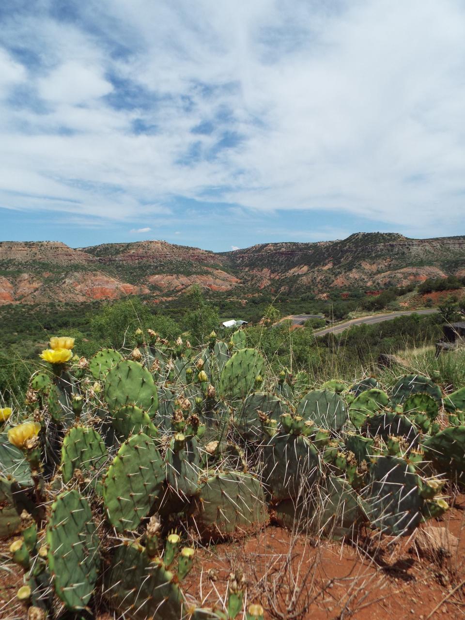 Palo Duro Canyon looks more beautiful than ever before with recent rainfall. But looks can be deceiving and though it is open, visitors need to follow rules and stay within limits set by the park and first responders.