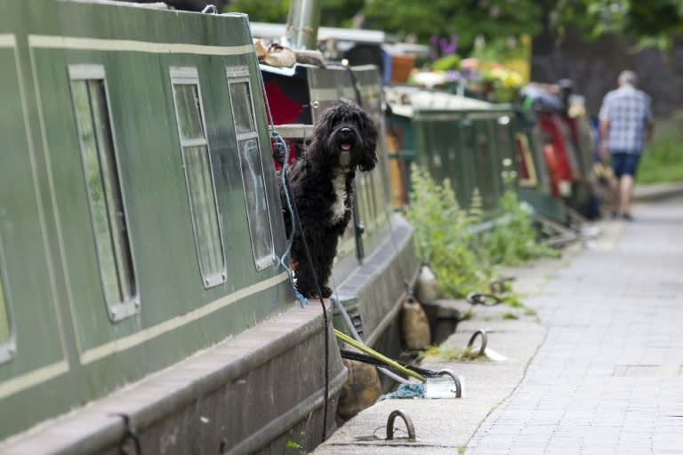 Life on the water can prove tempting, especially when buying a boat can cost a fraction of the price of bricks and mortar homes