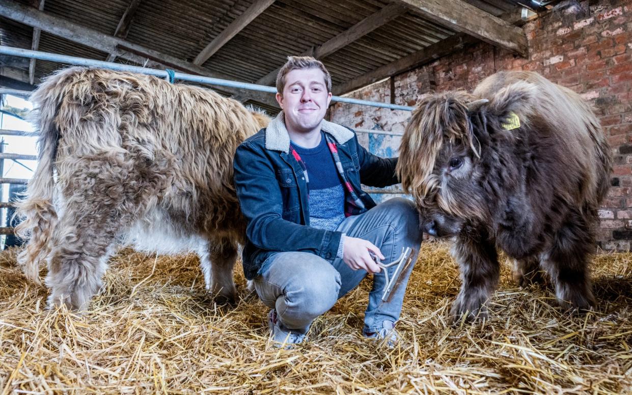 Jack with cuddling the cows