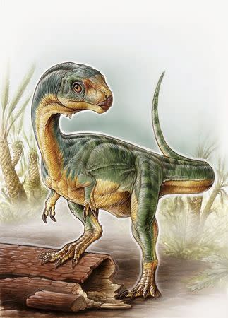 An artist's depiction shows the Chilesaurus diegosuarezi in this undated handout illustration provided by the University of Birmingham in Birmingham, Alabama on April 27, 2015. REUTERS/Gabriel Lio/University of Birmingham/Handout via Reuters