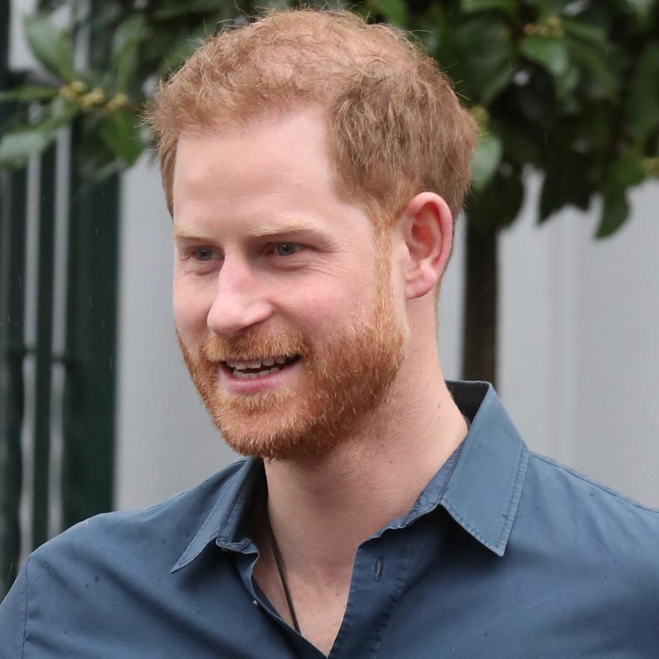  Prince Harry 