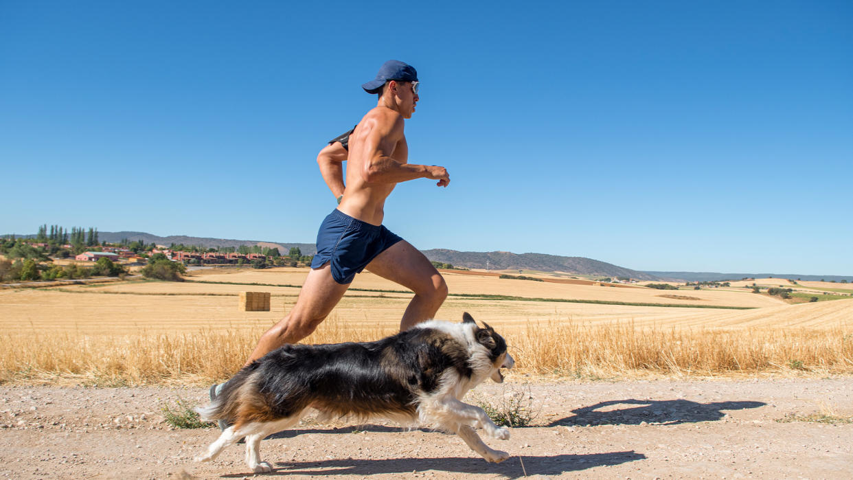  What is it about humans' bodies and physiology that helps us run long distances? 