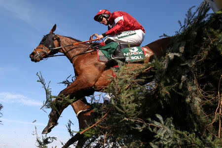 Horse Racing - Grand National Festival - Aintree Racecourse, Liverpool, Britain - April 6, 2019 Tiger Roll ridden by Davy Russell before winning the 5.15 Randox Health Grand National Handicap Chase Action Images via Reuters/Jason Cairnduff