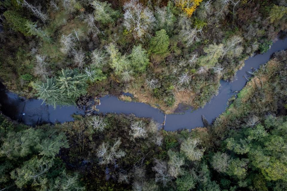 The Little Campbell River is pictured near the wooded area where a biofuel project is being proposed on Semiahmoo First Nation land near Surrey, British Columbia on Wednesday, October 25, 2023. 