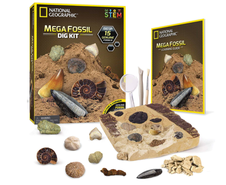 Fossil Digging Kit