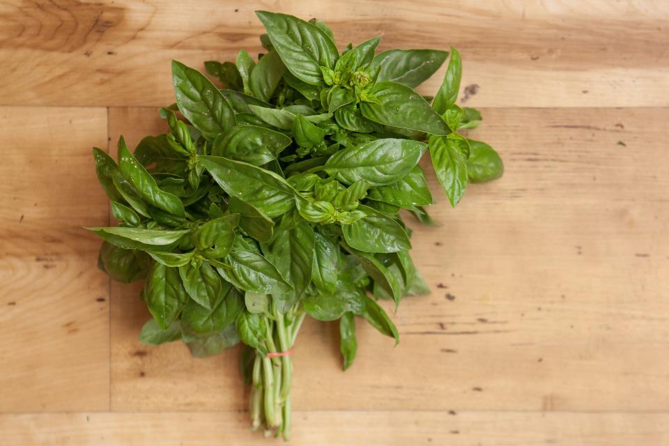 <h1 class="title">Basil</h1>