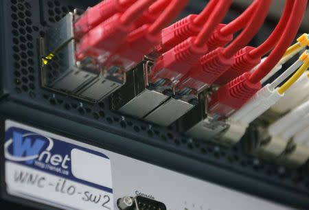 Ethernet cables used for internet connection are seen next to the company's logo at the headquarters of the Wnet internet service provider in Kiev, Ukraine July 26, 2017. REUTERS/Valentyn Ogirenko