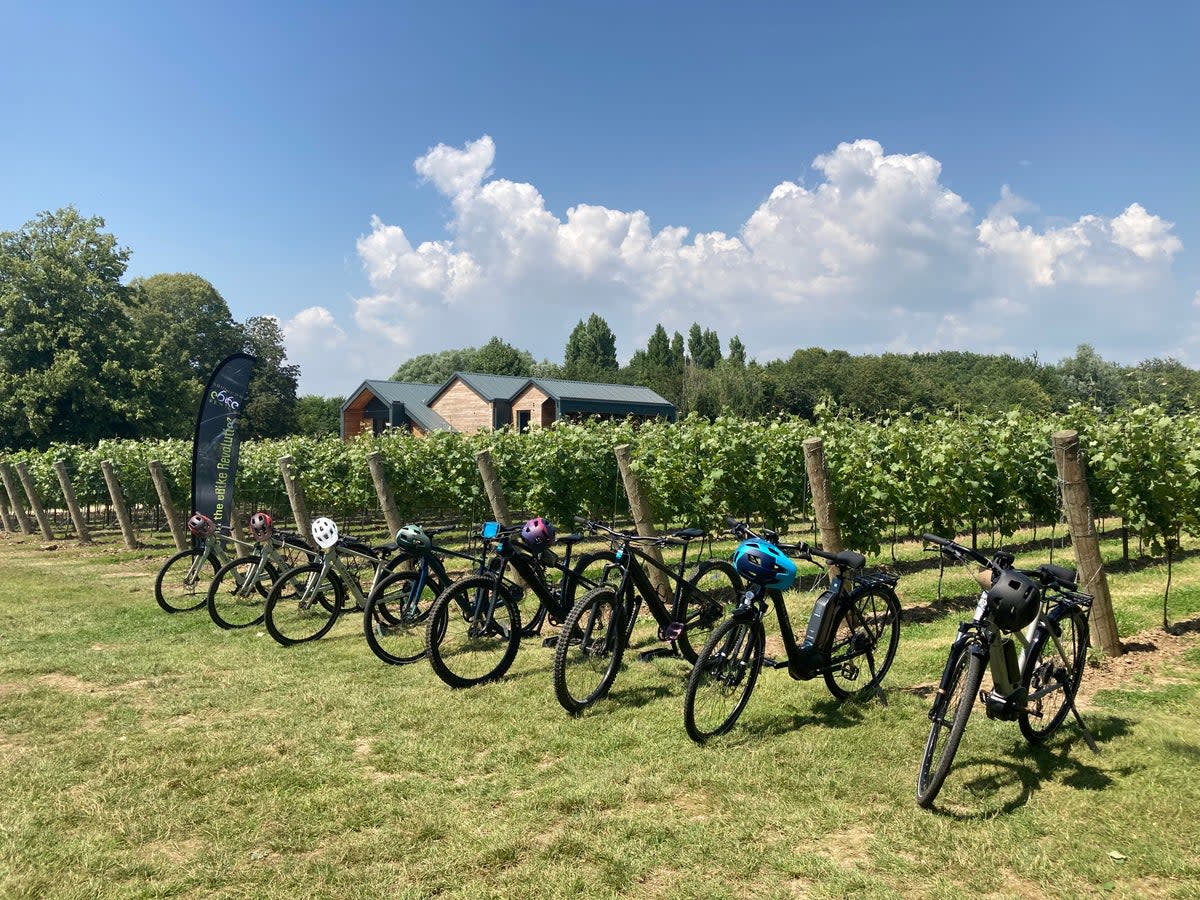 Ebikes are an easy way to explore this wine region (Southern Ebike Rentals)