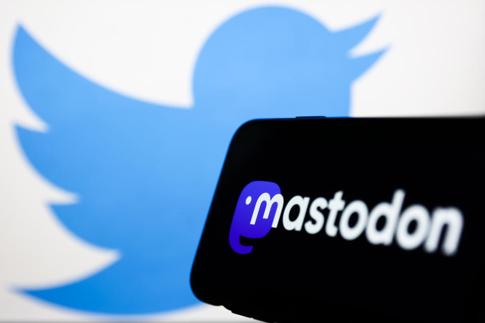 Mastodon als Twitter-Alternative? Die Plattform hat seit einigen Tagen erhöhten Zulauf (Bild: Jakub Porzycki/NurPhoto via Getty Images)