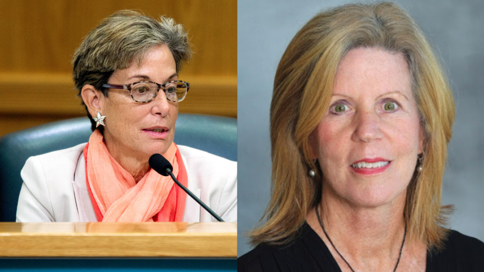 Palm Beach County Commissioner Maria Marino (left) and Palm Beach County Tax Collector Anne Gannon (right)