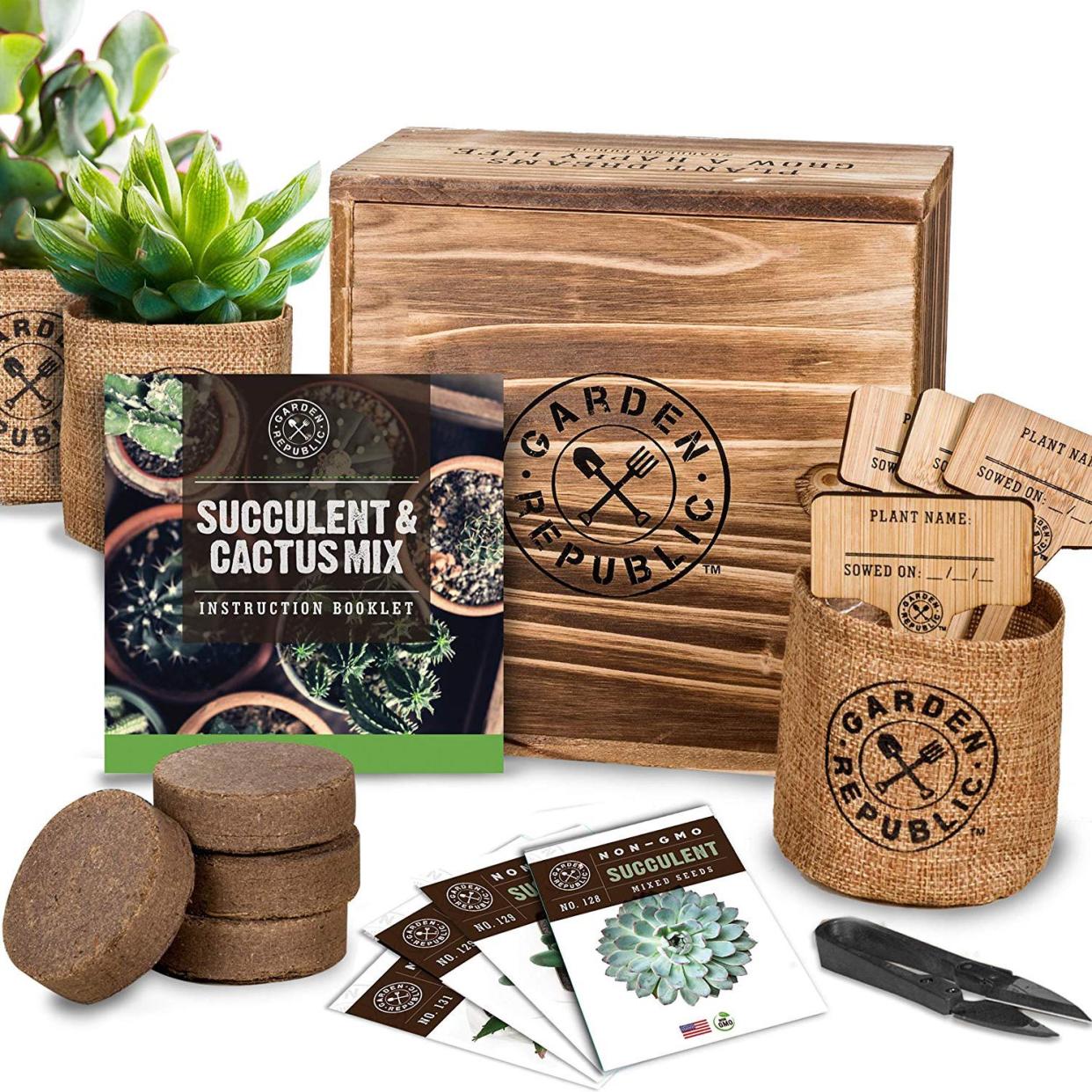 Succulent & Cactus Seed Starter Kit