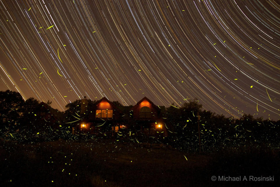 American photographer Michael A Rosinski's image blends artificial light, swarms of fireflies, and the long arcs of star trails overhead, captured using long exposures.