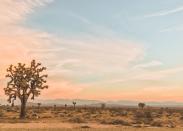 <a href="https://www.cntraveler.com/activities/joshua-tree/joshua-tree-national-park?mbid=synd_yahoo_rss" rel="nofollow noopener" target="_blank" data-ylk="slk:Joshua Tree National Park;elm:context_link;itc:0;sec:content-canvas" class="link ">Joshua Tree National Park</a> has a powerful pull. And autumn, when the temperatures finally dip to a comfortable 75 degrees during the day and the summer crowd has moved on, is the most glorious time to fall under its dusty, juniper-scented, high desert spell. The park is the main reason to visit, of course, and there are dozens of hikes that run from paved nature trails, to hardcore out-and-back treks, to full-on bouldering. (The in-and-out three-miler Ryan Mountain Trail is a good one for views, but it can get crowded; the Panoramic Loop is roughly twice as long, but less busy.) Outside the park, no trip to Joshua Tree is complete without a visit to the <a href="https://www.integratron.com/" rel="nofollow noopener" target="_blank" data-ylk="slk:Integratron:;elm:context_link;itc:0;sec:content-canvas" class="link ">Integratron:</a> Built in the late 1950s by ufologist and “contactee” George Van Tassel according to plans he received personally from visitors from the planet Venus—with funding from Howard Hughes, naturally—the Integratron was designed to time travel and add longevity to those who experienced it. Nowadays, its wood-paneled walls and acoustically perfect interiors provide a super groovy, high energy spot for a sound bath. Public sound baths aren’t happening on account of COVID-19, but you can book a private bath for your party or check out one of the Integratron-hosted outdoor sound baths. Also worth a visit is the Saturday morning farmers market, <a href="https://visitpioneertown.com/" rel="nofollow noopener" target="_blank" data-ylk="slk:Pioneertown;elm:context_link;itc:0;sec:content-canvas" class="link ">Pioneertown</a>, a former film set for Western movies just northeast of the national park, and <a href="https://www.pappyandharriets.com/" rel="nofollow noopener" target="_blank" data-ylk="slk:Pappy & Harriet’s;elm:context_link;itc:0;sec:content-canvas" class="link ">Pappy & Harriet’s</a>, a honky-tonk, barbecue restaurant and a hidden gem of a music venue. You never know when some indie darling or big name (Robert Plant popped by one quiet evening) is going to take the stage. <em>—Rebecca Misner</em>