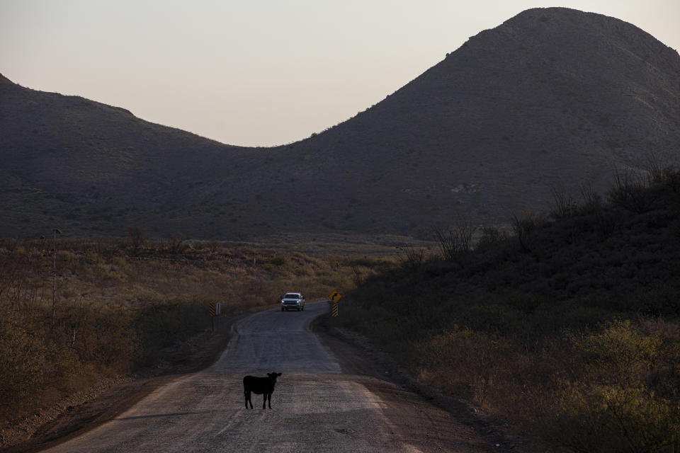 Una carretera en el Valle de San Bernardino que es utilizada por camiones pesados y equipos para construir el muro, en Douglas, Arizona, el 17 de noviembre de 2020. (Adriana Zehbrauskas / The New York Times)