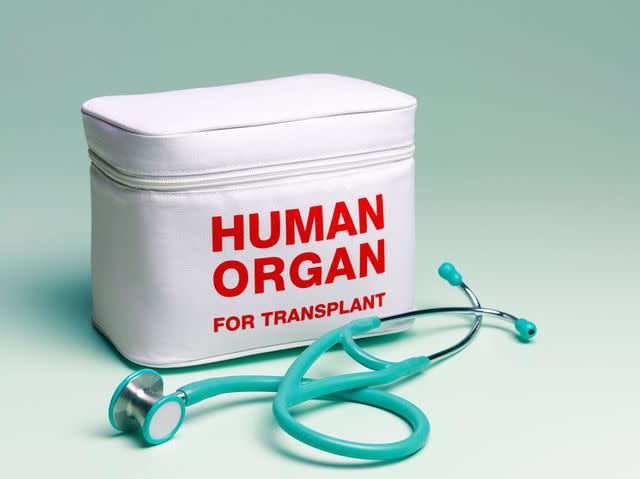 <p>getty</p> Stock image of a human organ container