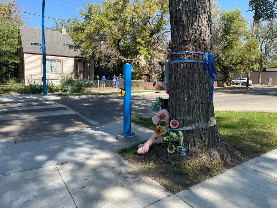 The family of Baeleigh Maurice advocated for pedestrian safety in the area and a blue crosswalk was installed last year in her honour.