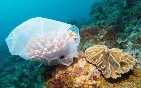 Plastic waste Pacific Commonwealth islands Vanuatu Tuvalu - Credit: Vanuatu Environmental Science Society