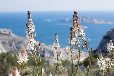 The Calanques National Park, near Marseille - Credit: Studio Mike - Fotolia