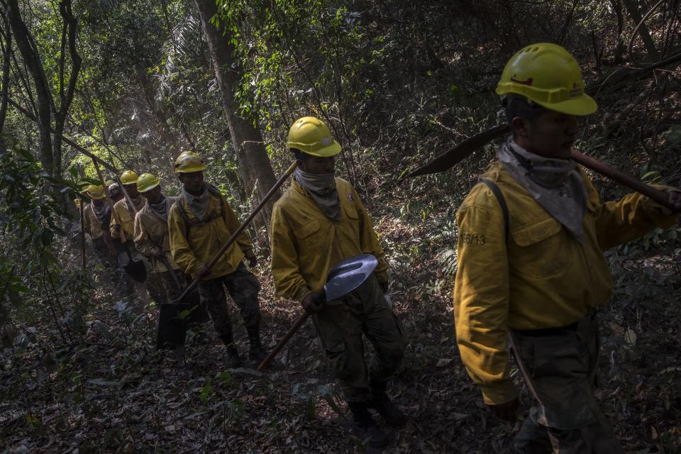 SANTA CRUZ, BOLIVIA - AUGUST 24 : A group of forest firefighters walks towards to fight a fire in the Chiquitania region, the largest tropical dry forest eastern Bolivia on August 24, 2019. More than 750,000 hectares of forest have been turned into ashes during the latest days, according to the Bolivian Government. The fires have hit the country's Amazon side  with an 83% increase on last year. Brazil and Bolivia are under "extreme risk" from forest fires. (Photo by MARCELO PEREZ DEL CARPIO/Anadolu Agency via Getty Images)