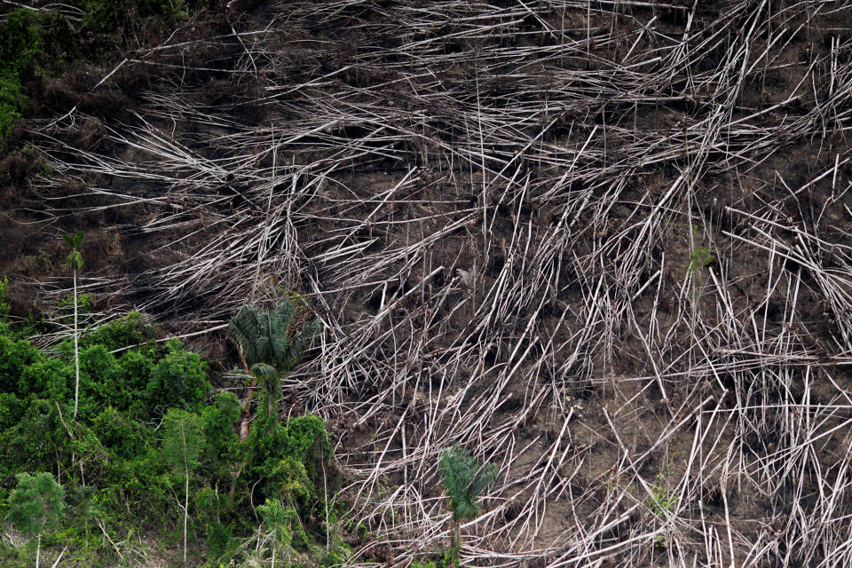 Brazil’s Amazon guardians