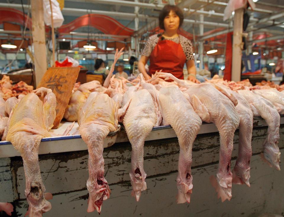 wet market china chicken