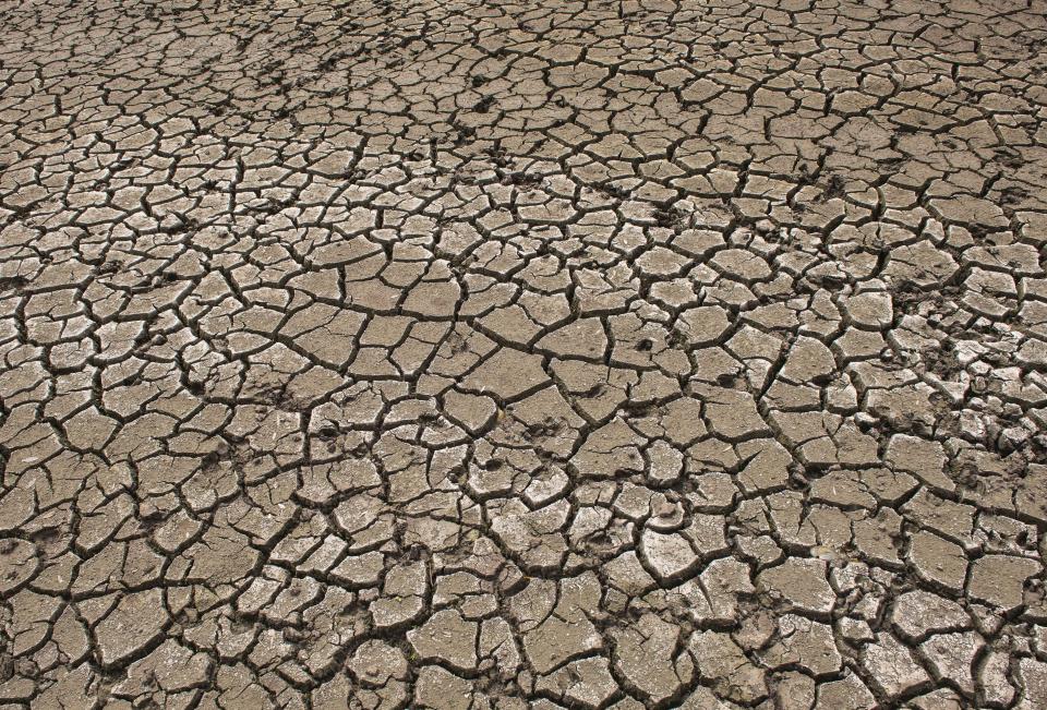 Cracks appear in the dried-out bed of a forest lake in Germany on Aug. 6, 2019. The NOAA said July was the hottest month on Earth since records began in 1880. (Photo: ASSOCIATED PRESS)