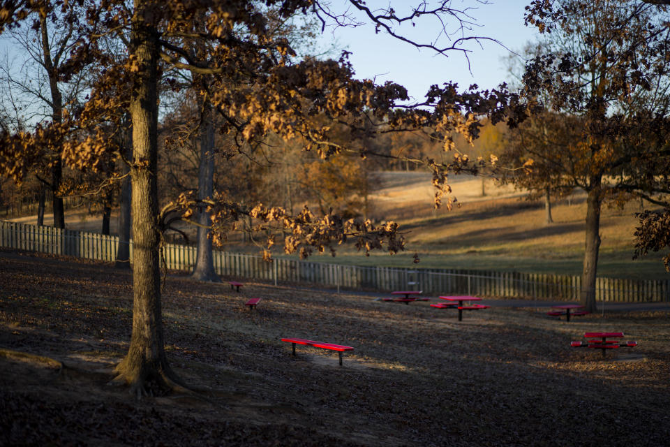 A view of the wooded area behind Westside Middle School