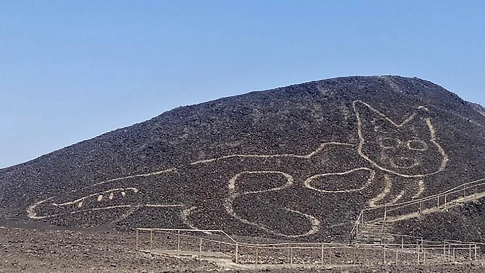 A giant cat figure etched into a slope at the Unesco World Heritage site in the desert near the town of Nasca in southern Peru (Peruvian Ministry of Culture/AFP)