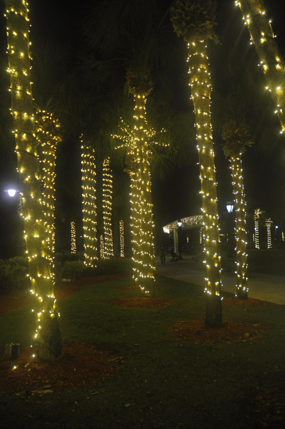 Riverside Park decorated with a giant holiday tree and others wrapped in white lights.