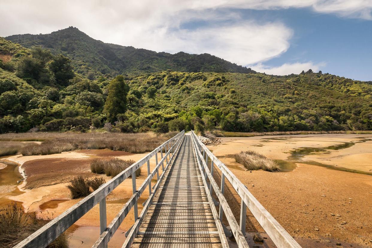 wooden footbridge at the beginning of Abel Tasman Coast Track in Abel Tasman National Park, New Zealand