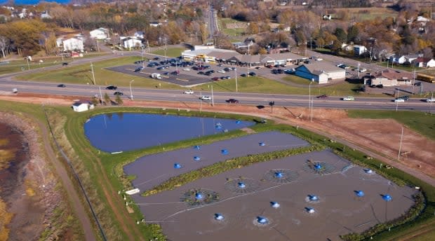 The Town of Stratford plans to redevelop the site where the sewage lagoon now lies. (Shane Hennessey/CBC - image credit)