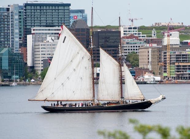 The schooner Bluenose II, Nova Scotia's sailing ambassador, cruises the harbour in Halifax in the pre-COVID-19 days of 2019.  (Andrew Vaughan/The Canadian Press - image credit)