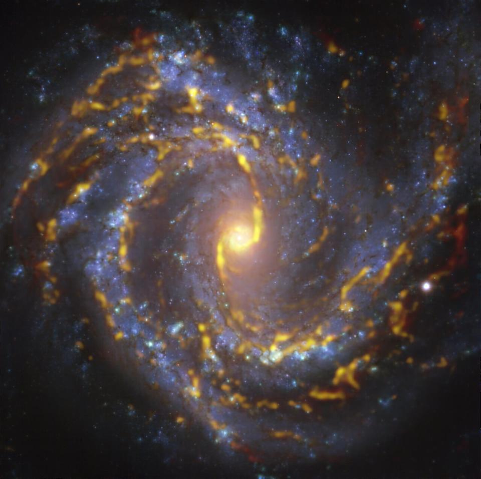 An image of the spiral galaxy NGC 4303 located 55 million light-years away.