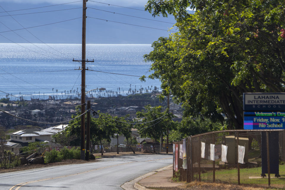The burn zone in Lahaina from Augusts's wildfire is visible on Lahainaluna Road, where three public schools are situated, on Friday, Nov. 3, 2023, in Lahaina, Hawaii. (AP Photo/Mengshin Lin)