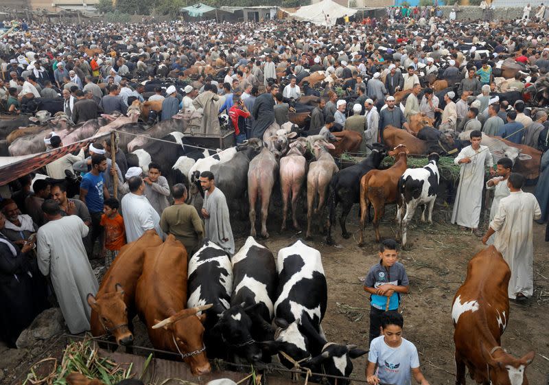 A general view of a cattle market in Al Manashi village, ahead of the Muslim festival of sacrifice Eid al-Adha, following the outbreak of the coronavirus disease (COVID-19), in Giza, on the outskirts of Cairo