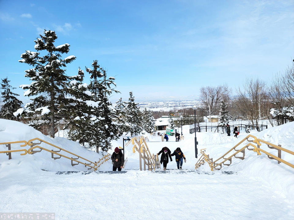 日本北海道｜旭川動物園、拉麵村、札幌大通公園、狸小路