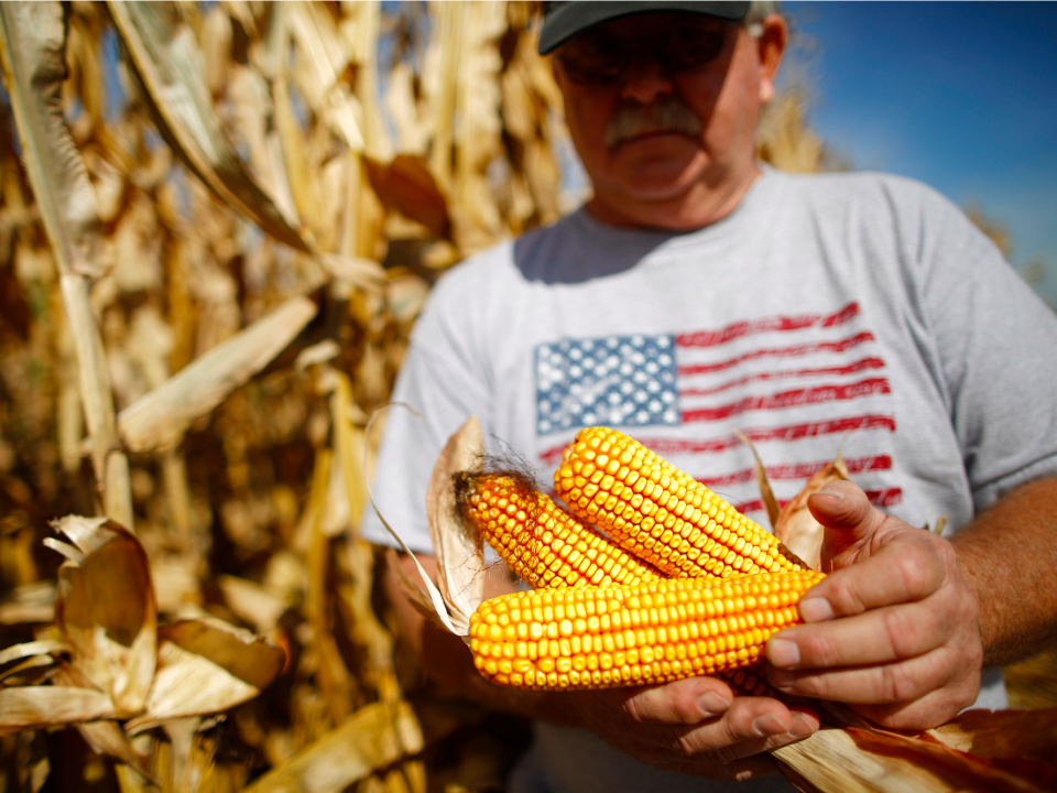 Corn farmer Illinois