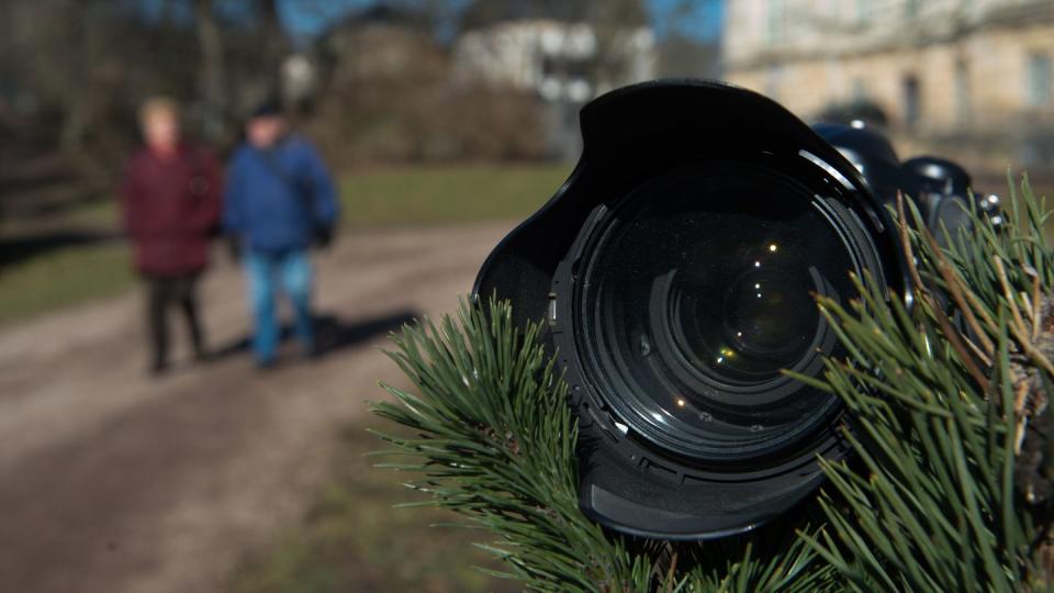 Ein monochromatischer Effekt kann beim Fotografieren erzeugt werden oder aber im Nachhinein mit einer Software. Foto: Sebastian Kahnert